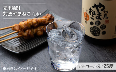 【全12回定期便】本格焼酎 飲み比べ 一升瓶 2本 セット 芋焼酎 / 麦米焼酎  酒 お酒 地酒  [WAN032]