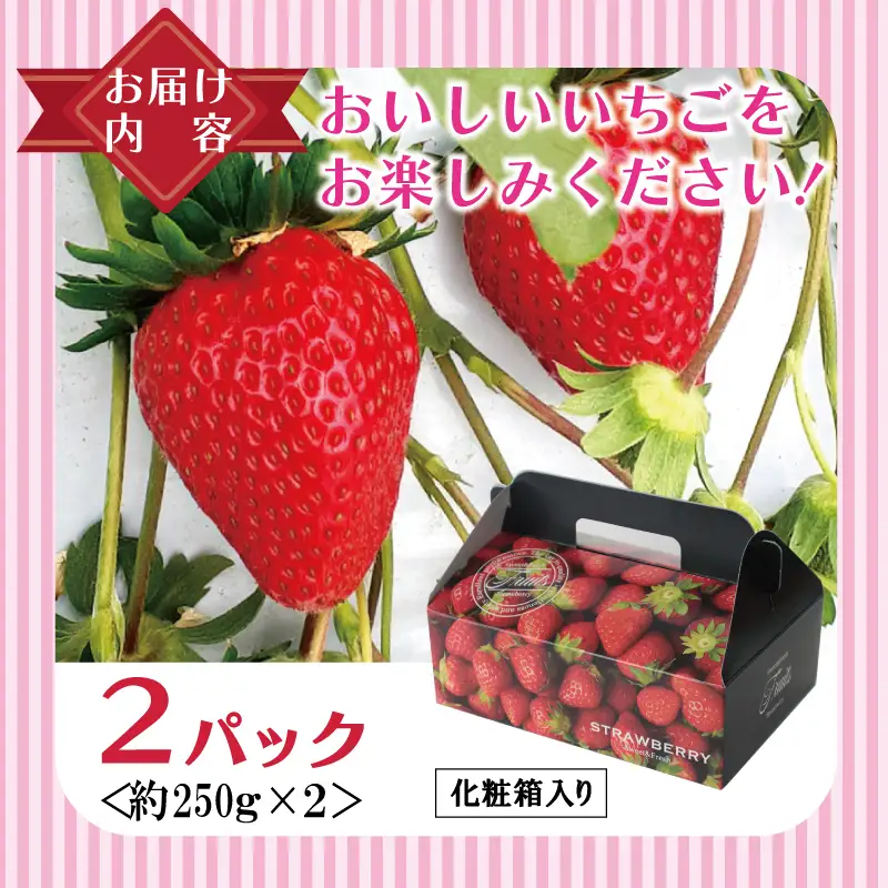 【先行予約】朝摘み 完熟いちご 2パック