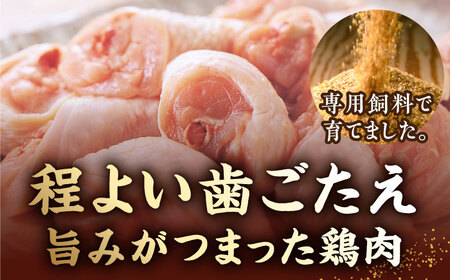 博多華味鳥 水炊き セット 6‐8人前 博多 福岡 鍋 鶏 水たき みずたき [ABCN001] 