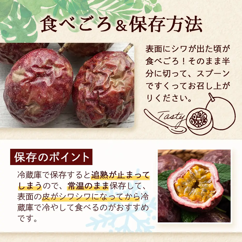 【今が旬！】贈答用パッションフルーツ1kg （約11個） 濱田農園 HB-706 ｜産地直送 新鮮 パッション フルーツ 南大隅町 果物 果実 ギフト プレゼント濱田農園 贈答用 人気 南国フルーツ 鹿児島県 南大隅町 hello! brand new days
