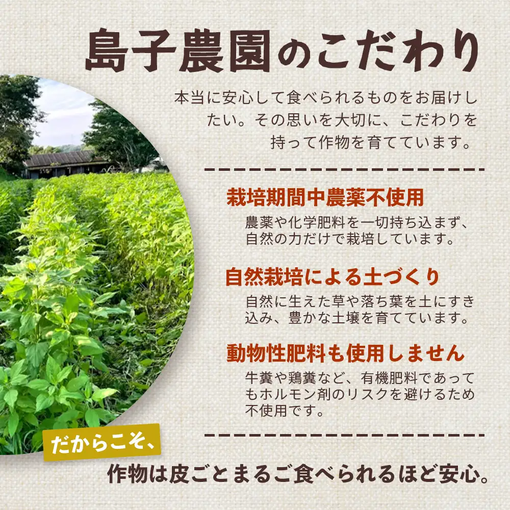 自然栽培で育てた ノンカフェインの菊芋コーヒー【１袋】SK-404｜コーヒー 菊芋 ノンカフェイン 野菜茶 きくいも お茶 焙煎 ギフト グルメ お取り寄せ 南大隅