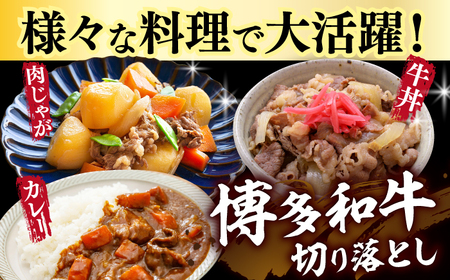 【全12回定期便】【和牛の旨味を堪能！】博多和牛切り落とし500g 牛肉 肉 [ABBP044] 