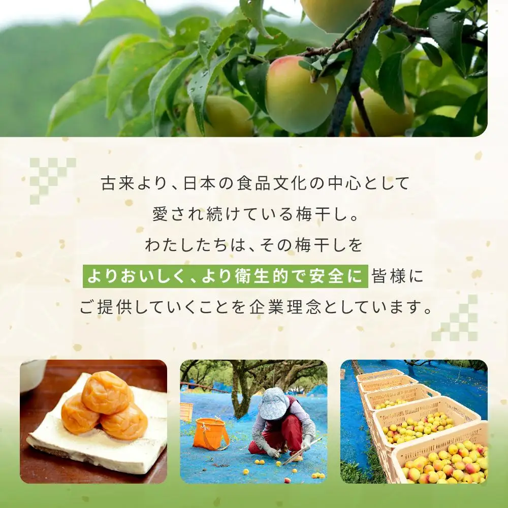カリカリ梅ひじき（80ｇ×4個）