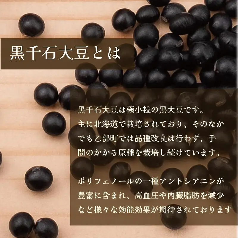 ＜黒千石アイスKOI　6個＞超贅沢！！豆感がすごい！アイスクリーム 6個セット アイスクリーム 大豆 濃厚 ミルク イソフラボン ご褒美に ギフト 贅沢 ごちそう アイス 黒千石大豆 甘露煮 カップ 濃い 豆 北海道産 乙部町産 北海道 乙部町