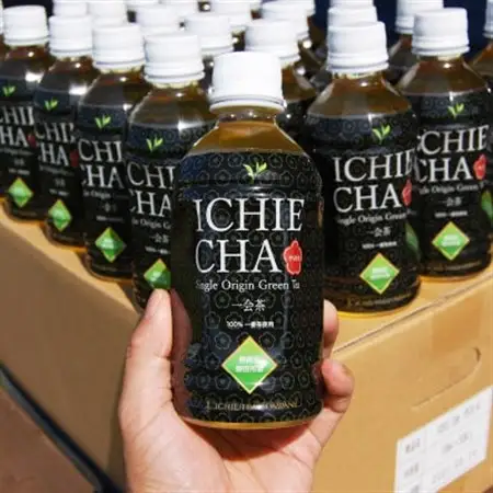 高級煎茶　ICHIE　CHA 12本入り シングルオリジン ペットボトル高級緑茶　静岡磐田市産_飲料・ドリンク 飲料 茶 _【1419401】