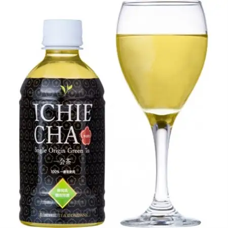高級煎茶　ICHIE　CHA 24本入り　シングルオリジンペットボトル高級緑茶　静岡磐田市産_飲料・ドリンク 飲料 茶 _【1419410】