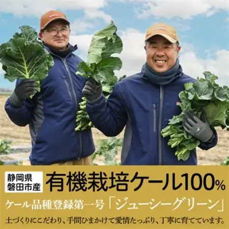手軽に野菜摂取!【無添加 ケールまるごと100%青汁 原材料 静岡県磐田市
