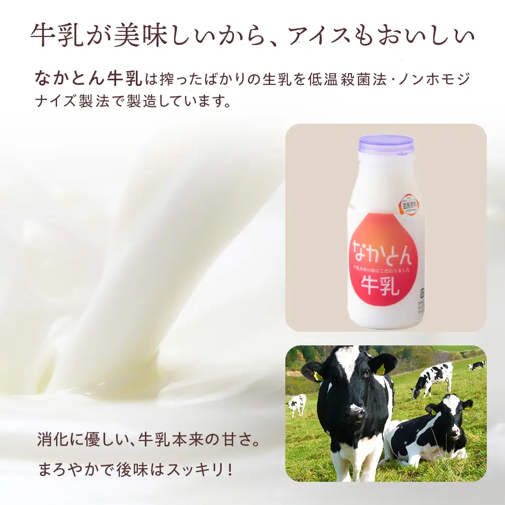 アイス セット アイスクリーム 10個
