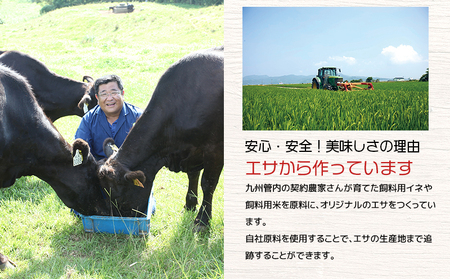 湯煎 で 簡単！国産牛 テールスープ 7Pセット K002-044 肉 牛肉 冷凍