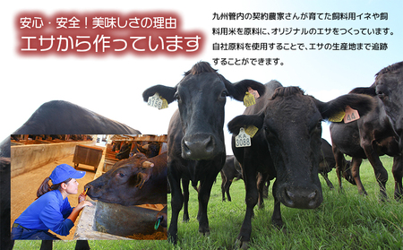 【 人気部位ミスジ！ 】A5等級 黒毛和牛 ミスジ ステーキ 400g K002-045 肉 牛肉 冷凍