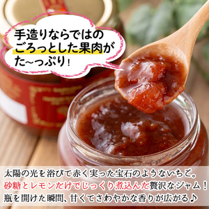 No.1022 手造りイチゴジャム(約500g×3本) 国産 九州産 鹿児島県産 いちご イチゴ 苺 不 ジャム フルーツ 果物 手作り 手造り 調味料 小分け 贈答 プレゼント 着色料無添加 保存料無添加【片平観光農園】