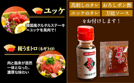 馬刺し7部位堪能セット 約510g タレ付き 馬肉 冷凍 《60日以内に出荷予定(土日祝除く)》 