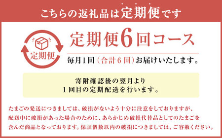 【定期便6回】球磨球子 80個×6回 合計480個 鶏卵 卵 玉子 たまご くまたまご（破損保証有り）