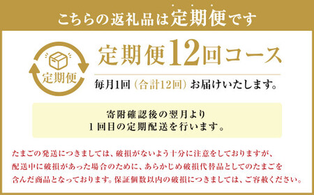【定期便12回】球磨球子 80個×12回 合計960個 鶏卵 卵 玉子 たまご くまたまご（破損保証有り）