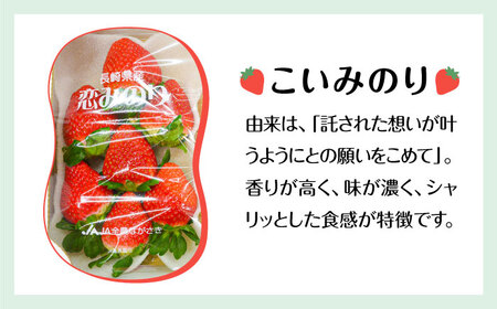 【2027年1月-発送】いちご2種類 食べ比べ 約250g×4P [SAC006] いちご