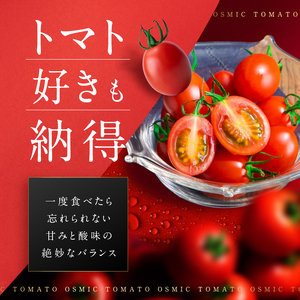 OSMIC トマト Premium 1kg フルーツトマト プチトマト 野菜 旬の野菜 季節の野菜 千葉市