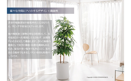 次世代型インテリアグリーン　DiamondPlants　Grande【リビング 寝室】 ナノダイヤモンド 触媒 コーティングして 抗菌 抗ウィルス 消臭 防カビ 抗酸化作用 植物  パキラ・グレー鉢