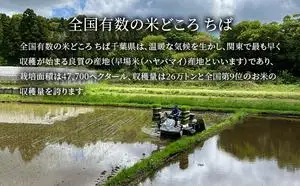 最短出荷 2日から7日以内に発送 千葉産　令和7年ミルキークイーン　白米27kg【お米 粘り もっちり おにぎり お弁当】 精米 つやつや 新鮮 