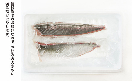 千葉市場直送　朝一活〆！カンパチ半身分（スキンレスロイン） 魚貝類 冷蔵 柵 新鮮 刺身 養殖カンパチ しゃぶしゃぶ かんぱちの刺身 つまみ 肴 