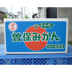 完熟厳選の曽保みかん約5kg FAH-0139
