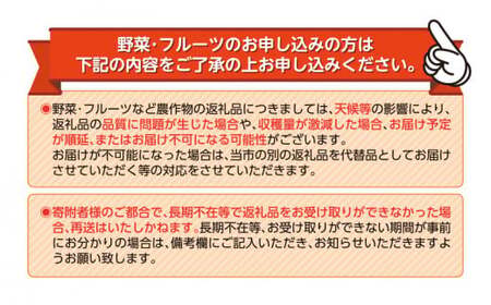 訳あり 寿太郎みかん 約5kg みかん