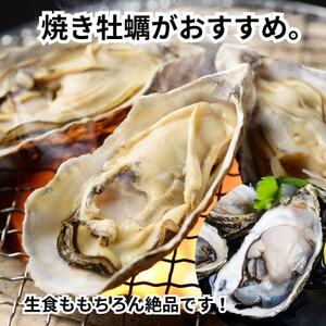 先行予約 篠島の2種の天然殻付きカキ2kg(岩牡蠣&真牡蠣)食べ比べセット 生食用/CAS冷凍