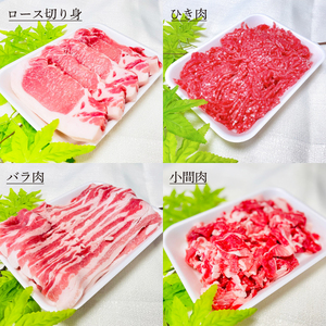 【3ヵ月定期便】 豚肉 かしまし豚 4種の詰め合わせ×3回 国産 豚肉