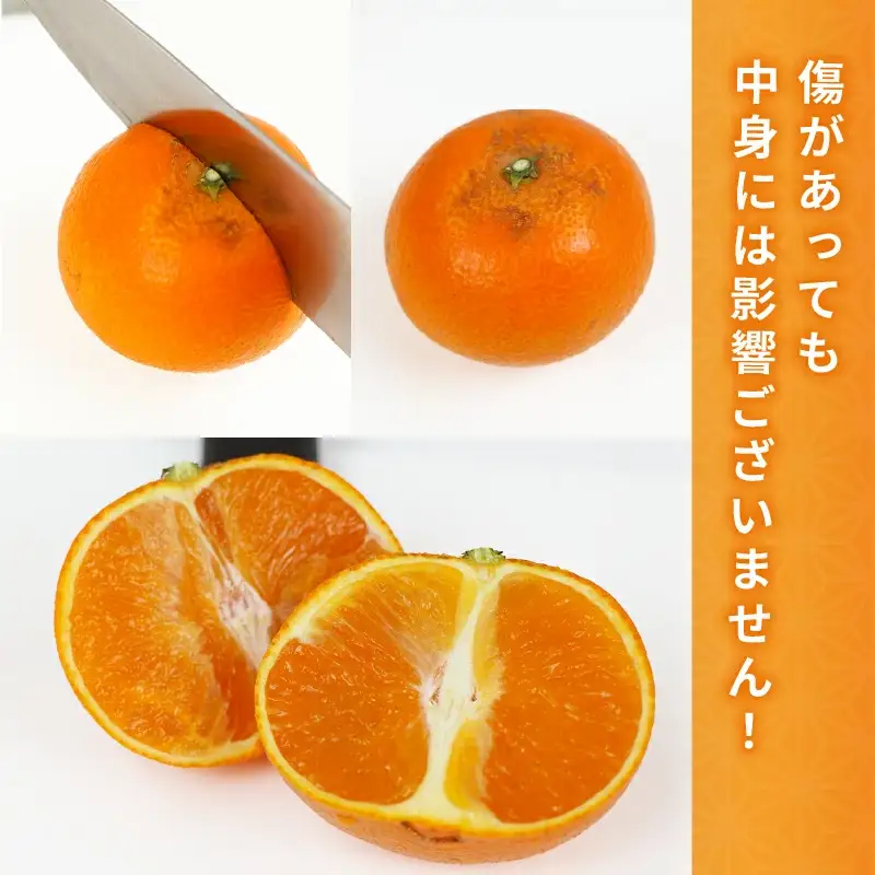 みかん 訳あり 愛果28号 5kg マル南フルーツ 【 訳あり 愛果 】 B015-106027