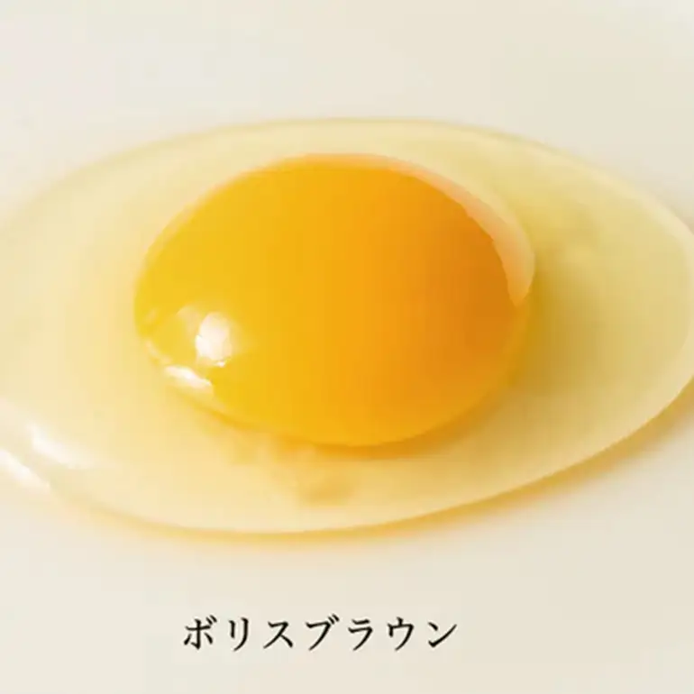 はっこう卵 ( 赤卵 ) MS~L サイズ 55個 +破卵保障5個 サイズ おまかせ 卵 たまご タマゴ 鶏卵 優良醗酵飼料 平飼い ゲージ おいしい 生卵 味卵 煮卵 目玉焼き ゆで卵 キッシュ 朝食 定番 上原養鶏場 沖縄 産地直送 沖縄県 糸満市 115-5