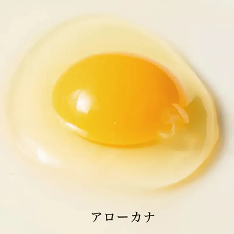 はっこう卵 3種 食べ比べ MS~L サイズ 55個 +破卵保障5個 卵 種類 サイズ おまかせ 詰め合わせ 白卵 30個 赤卵 20個 青卵 10個 アローカナ 詰合せ たまご タマゴ 食比べ 生卵 味卵 煮卵 目玉焼き ゆで卵 沖縄 産地直送 上原養鶏場 沖縄県 糸満市 115-4