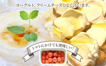 【先行予約】生はちみつ 200g×2本 【プラボトル】 ※26年6月以降順次発送予定 / 国産 天然 はちみつ ハチミツ 蜂蜜 ハチミツ 純粋はちみつ 蜂蜜 百花 非加熱 国産 ギフト 贈答用 プレゼント レモン 紅茶 梅干し 富山県 滑川市 ハニー 人気 おすすめ [A-033002]