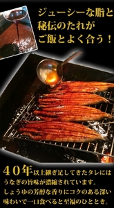 【大型サイズ】ふっくら柔らか 国産うなぎ蒲焼き 3尾/うなぎ ウナギ 鰻 うなぎ蒲焼 国産 【uot303A-3】