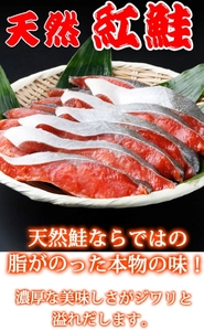  【天然鮭使用】大ボリューム！こだわり仕込の天然紅サケ切身 約1kg / 鮭 サケ 切り身 冷凍 おかず 人気 【uot715C】