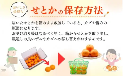  【ご家庭用訳あり】 紀州 和歌山産 せとか 5kg 先行予約  / みかん フルーツ 果物 くだもの ※2027年2月中旬頃〜3月中旬頃発送（お届け日指定不可） ※離島への配送不可 【uot748A】