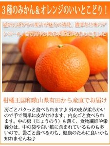  津之輝(つのかがやき)　5kg【予約】　※2027年1月下旬頃〜2027年2月上旬頃に順次発送予定 (お届け日指定不可) / みかん 蜜柑 フルーツ 果物 くだもの 【uot761】