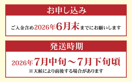 有機肥料 で 育てた 小玉 スイカ 【 姫甘泉 】（ 4個入り ） M002-005 【 期間限定 】 果物 すいか