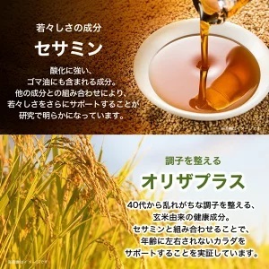 サプリ サントリー セサミンEX 90粒入 (約30日分) ごま オリザプラス セサミン ビタミンE サプリメント 健康 サントリーウエルネス 富士市 (1889)