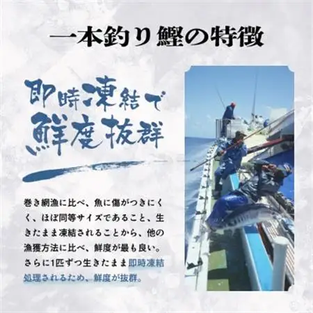脂ののった戻り鰹＆活き〆かつお(枕崎ぶえん鰹) 合計1Kg タレ付 A3-133_ かつお 枕崎市 カツオ 鰹 戻り鰹 ぶえん鰹 小分け おつまみ 刺身 1本釣り 酒の肴 酒のおつまみ 一本釣り 海鮮 人気_【配送不可地域：離島】【1166319】
