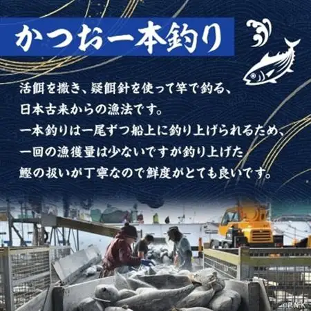 【訳あり】枕崎からの贈り物 かつおの腹皮【合計3Kg(12～16パック)】 A3-47_はらがわ 国産 規格外 鰹 カツオ トロ おつまみ 人気 送料無料_【配送不可地域：離島】【1166527】