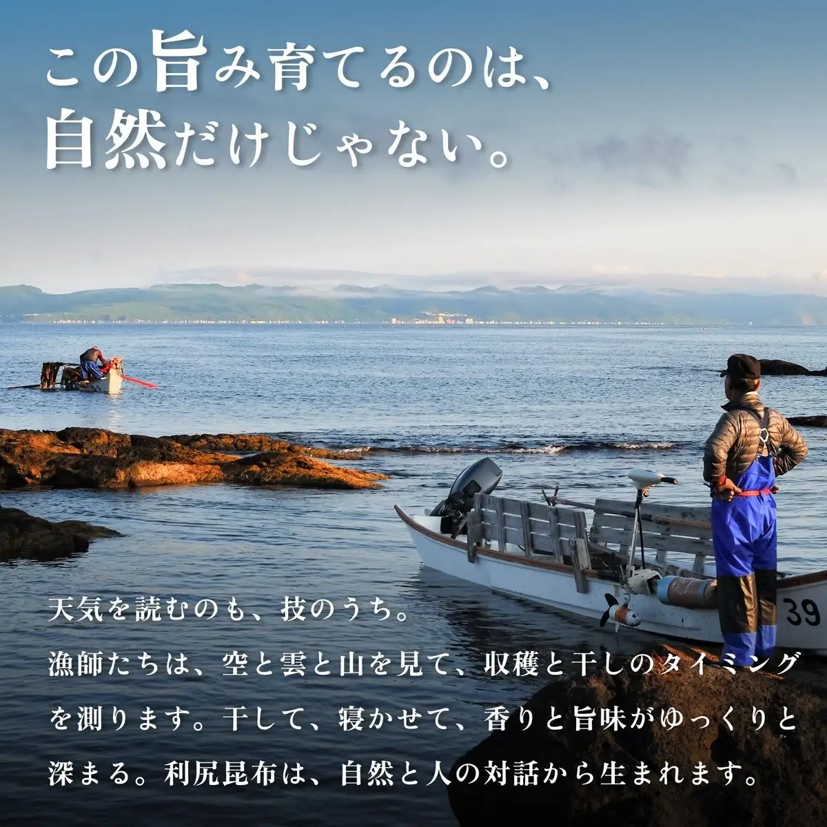 利尻昆布梅酒＆利尻昆布焼酎セット｜梅酒 焼酎 利尻 昆布 ウメ お酒 北海道 地酒 国産 ロック 水割り [1040012]