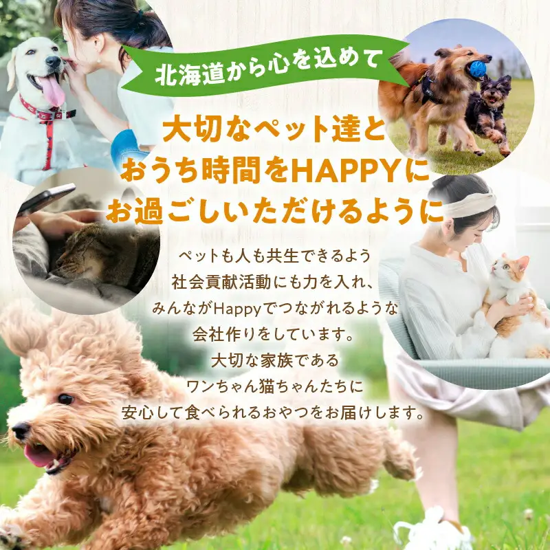 犬・猫用おやつ 北海道産無添加 鱈、鮭、鶏肉 たっぷりジャーキー4種類セット_Y078-0006