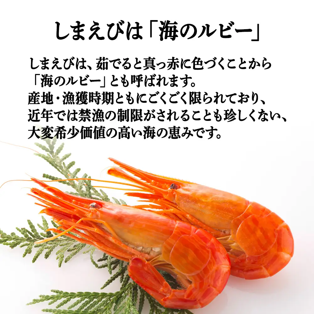 稚内産ボイルしまえび500g（250g×2）【配送不可地域：離島・沖縄県】
