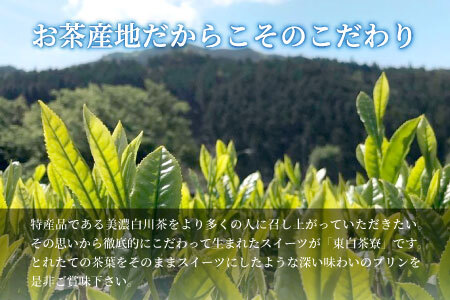 食べるお茶スイーツ 東白茶寮プリン 「茜」 6種 6個セット 10000円 一万円