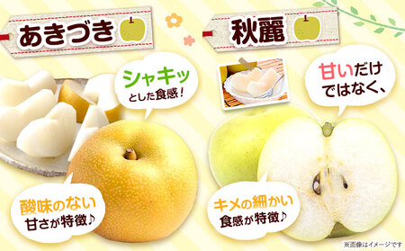 梨 なし 荒尾梨 約1.8～2kg 果物 和梨 村上果樹園 あきづき 甘太 秋麗 【品種の指定不可】 《8月上旬-9月末頃出荷》熊本県 荒尾市 2kg 前後 果物 フルーツ 旬 荒尾市産 国産 冷蔵 ギフト 贈り物 お中元 送料無料 美味しい梨 旬の梨 ジューシー梨 フルーツ梨