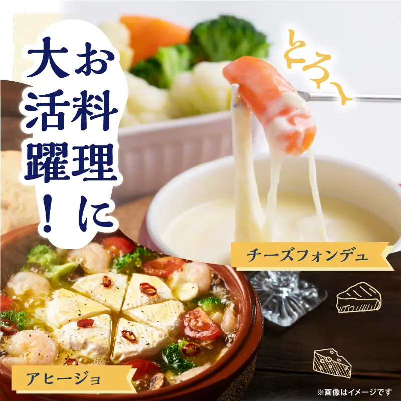 《10日以内発送》チーズ詰め合わせ チーズ_H0003-101