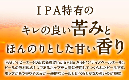 みなみ阿蘇ビール 阿蘇レッド IPA 330ml×6本セット 株式会社南阿蘇ケアサービス 《90日以内に出荷予定(土日祝除く)》 池山水源の湧水使用！ インディアペールエール みなみ阿蘇ビール ビール 酒 お酒 熊本県 南阿蘇村