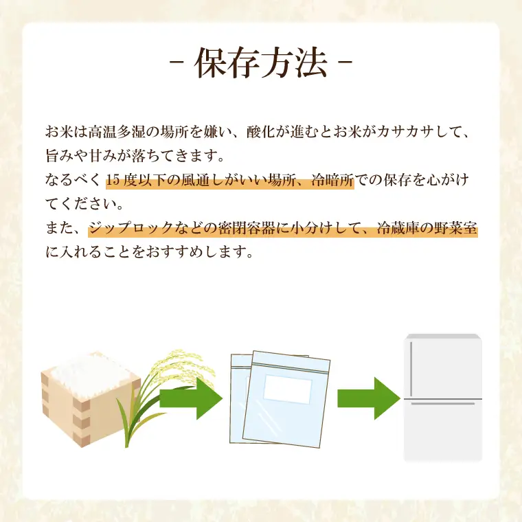 コシヒカリ 10kg (5kg × 2袋)【令和7年産】米 精米 白米 こしひかり 茨城県 鹿嶋市 国産 送料無料 お米 ごはん おにぎり 冷めても 美味しい 粘り うまみ 厳選 出荷直前精米 ツヤ かおり うまい（KY-1）