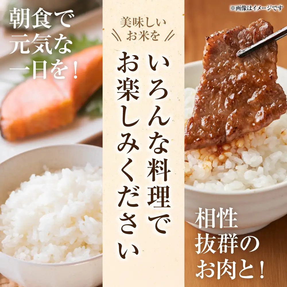 【令和7年産】 熊本県八代市産 森のくまさん 農家のとっておき 3kg×2袋 米 お米 精米  国産 白米 ごはん ご飯
