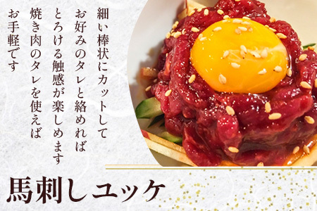 赤身 馬刺し ブロック 計200g（100g×2パック）冷凍真空パック【 熊本県 多良木町 たらぎ 馬肉 馬刺し 冷凍 真空 熊本肥育 】 041-0134