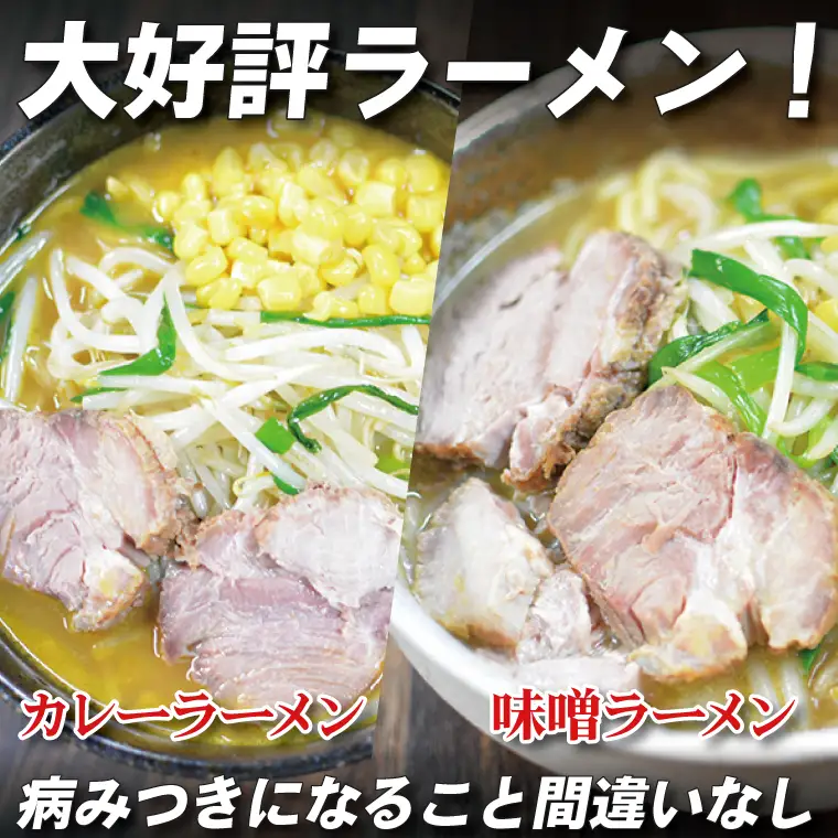 【日時指定必須】日曜朝のTVで紹介されました！「スタミナラーメン日向」の大人気ラーメンセット（スタミナ２、味噌２、カレー２）（FF-10）